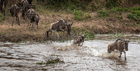 CDR_09262019_Tanzania_2569_tanzania_