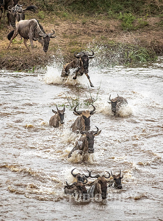 CDR_09262019_Tanzania_2635_tanzania_