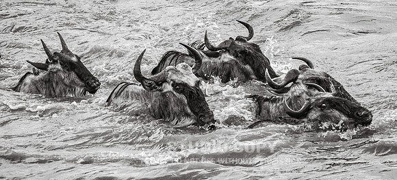 CDR_09262019_Tanzania_2670_tanzania_