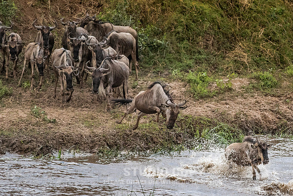 CDR_09262019_Tanzania_2756_tanzania_