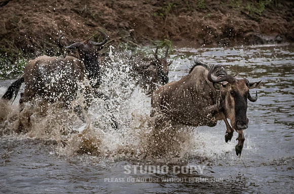 CDR_09262019_Tanzania_2789_tanzania_