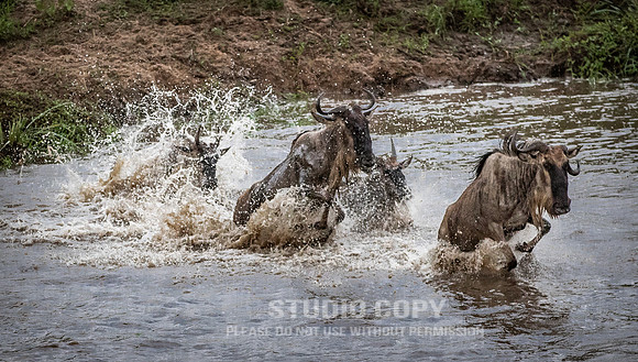 CDR_09262019_Tanzania_2791_tanzania_