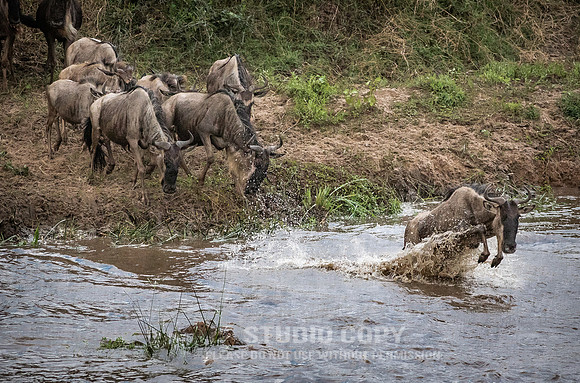 CDR_09262019_Tanzania_2803_tanzania_