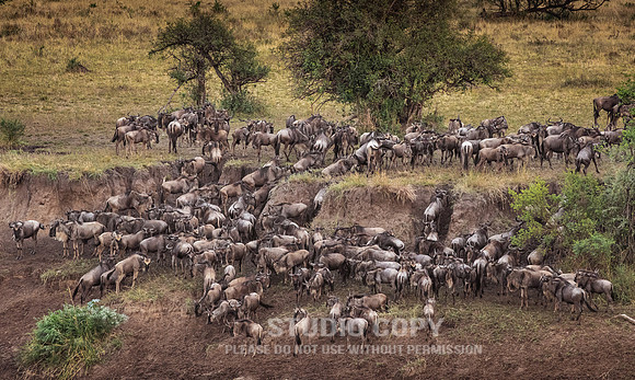 CDR_09272019_Tanzania_0149_tanzania_