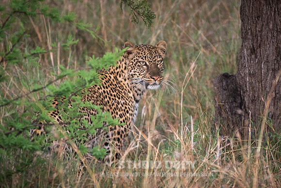 CDR_09272019_Tanzania_0181_tanzania_