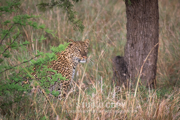 CDR_09272019_Tanzania_0182_tanzania_