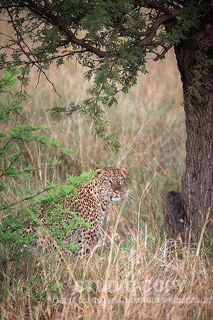 CDR_09272019_Tanzania_0183_tanzania_