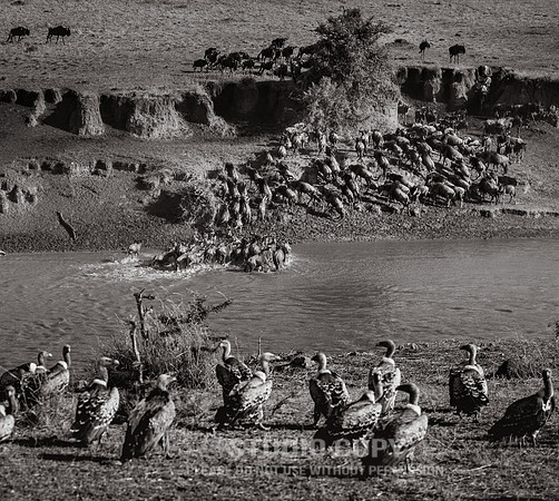 CDR_09272019_Tanzania_0274_tanzania_