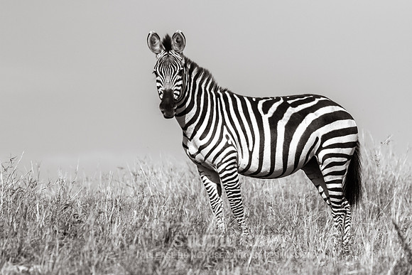 CDR_09272019_Tanzania_0296_tanzania_