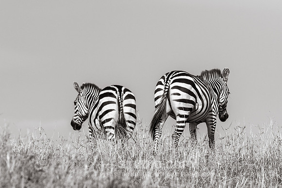 CDR_09272019_Tanzania_0307_tanzania_