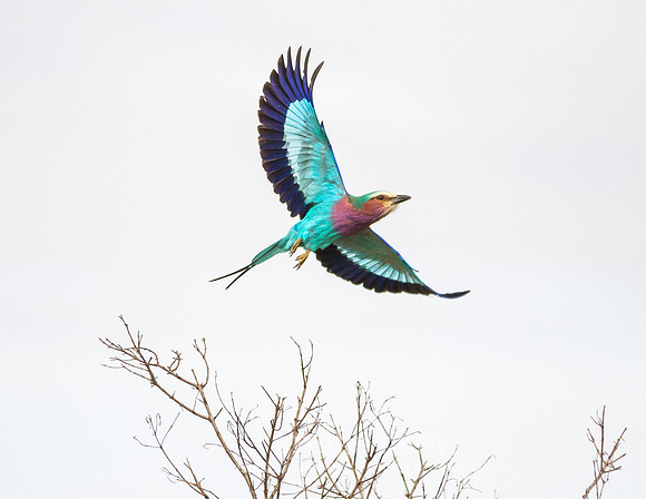 CDR_09272019_Tanzania_0354_tanzania_