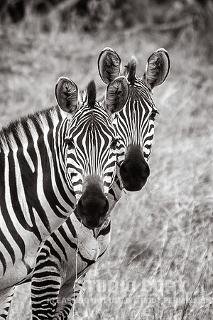 CDR_09272019_Tanzania_0486_tanzania_