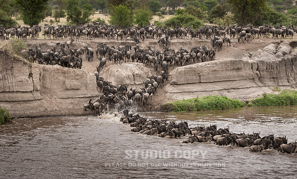 CDR_09272019_Tanzania_0533_tanzania_