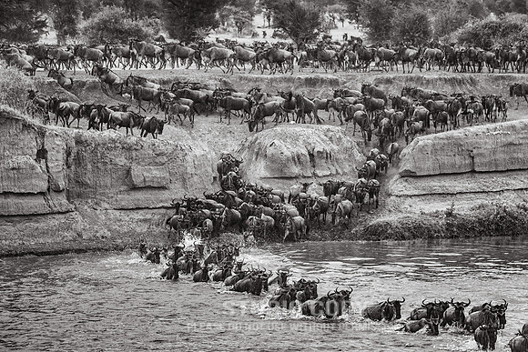 CDR_09272019_Tanzania_0557_tanzania_