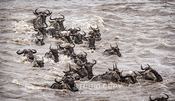CDR_09272019_Tanzania_0612_tanzania_