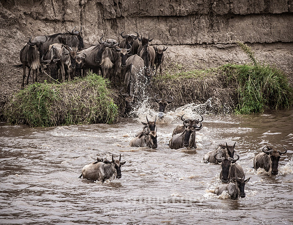 CDR_09272019_Tanzania_0634_tanzania_
