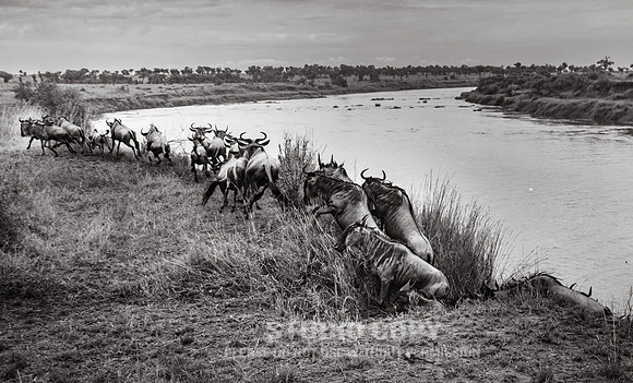 CDR_09272019_Tanzania_0673_tanzania_