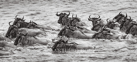 CDR_09272019_Tanzania_0693_tanzania_