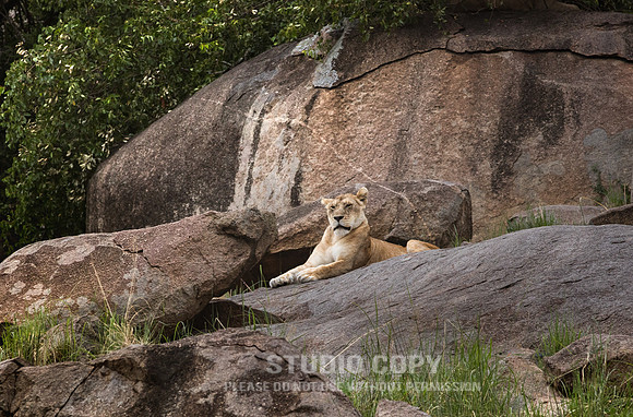 CDR_09282019_Tanzania_0290_tanzania_