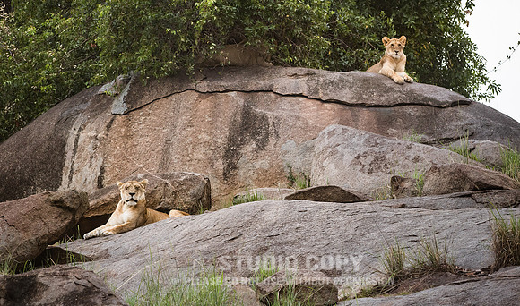 CDR_09282019_Tanzania_0293_tanzania_