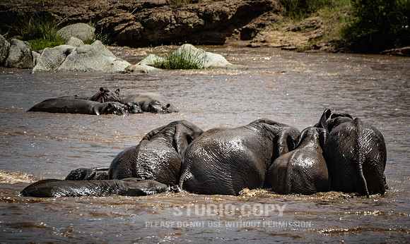 CDR_09282019_Tanzania_1013_tanzania_