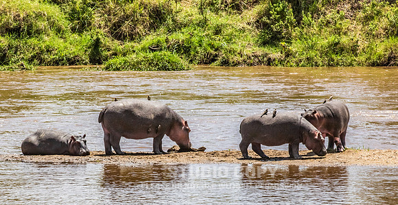 CDR_09282019_Tanzania_1485
