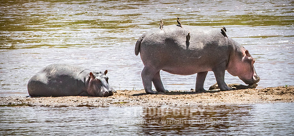 CDR_09282019_Tanzania_1496