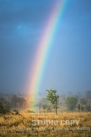 CDR_09282019_Tanzania_1848_rainbow