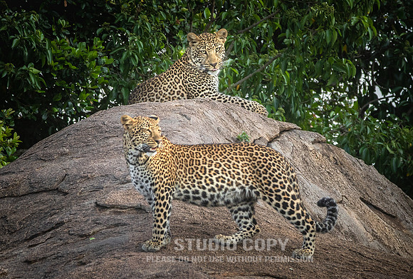 CDR_09292019_Tanzania_0202_tanzania_