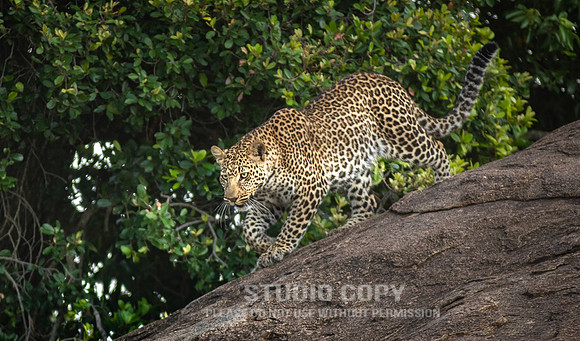 CDR_09292019_Tanzania_0224_tanzania_