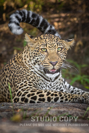 CDR_09292019_Tanzania_0624_tanzania_