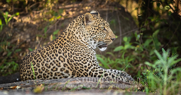 CDR_09292019_Tanzania_0643_tanzania_