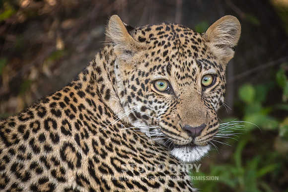 CDR_09292019_Tanzania_0656_tanzania_