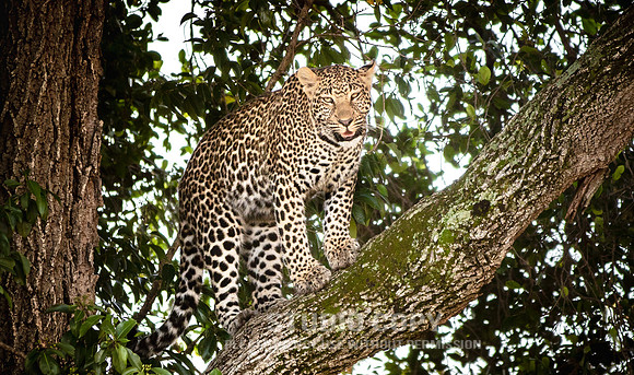 CDR_09292019_Tanzania_0683_tanzania_