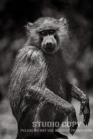 CDR_09232019_Tanzania_0096