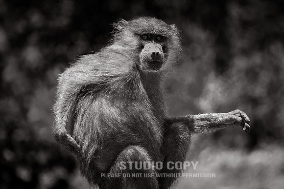 CDR_09232019_Tanzania_0100