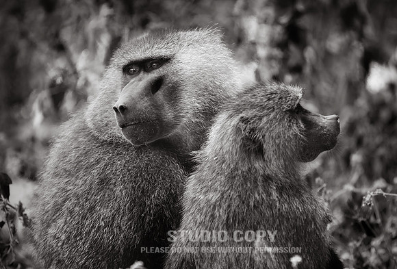 CDR_09232019_Tanzania_0114