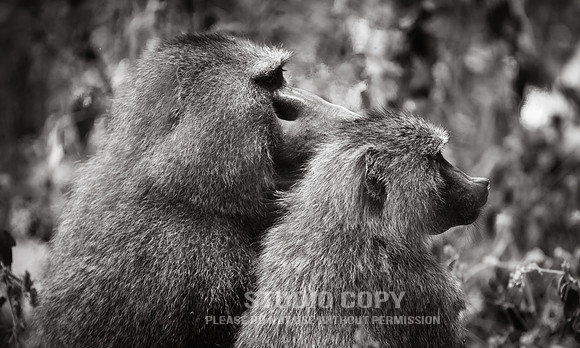 CDR_09232019_Tanzania_0117