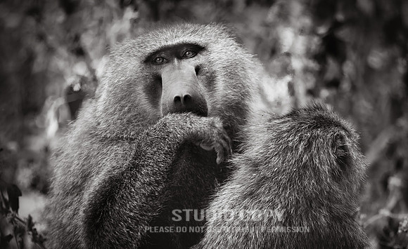 CDR_09232019_Tanzania_0119