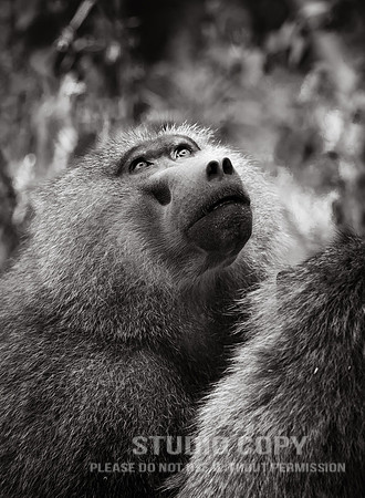CDR_09232019_Tanzania_0121