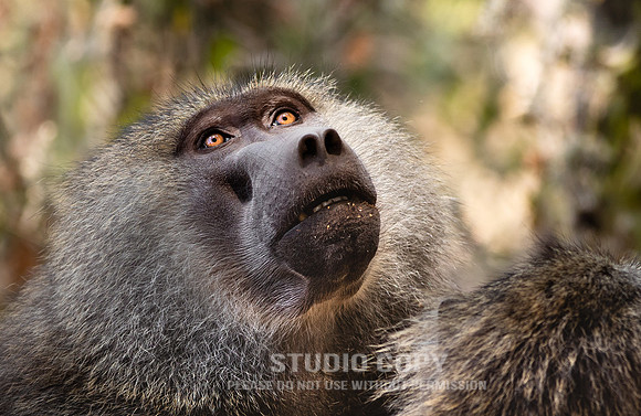 CDR_09232019_Tanzania_0122