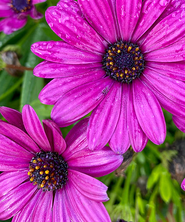IMG_3041