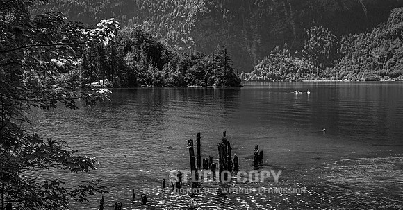 CDR_07172015_0076_haalstat