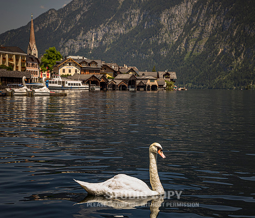 CDR_07172015_0510_haalstat