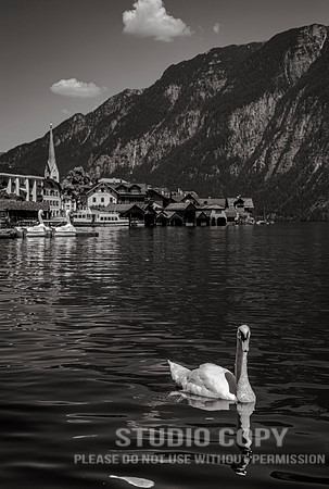 CDR_07172015_0511_haalstat