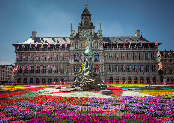 CDR_06112015_0268_belgium