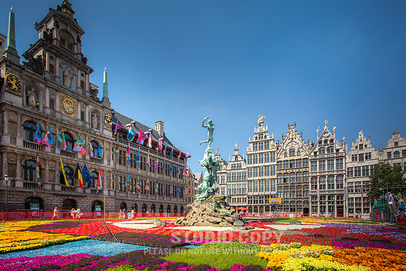 CDR_06112015_0272_belgium