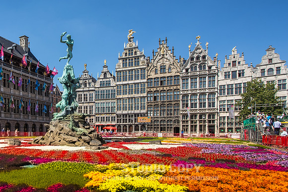 CDR_06112015_0274_belgium