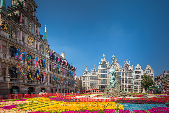 CDR_06112015_0275_belgium