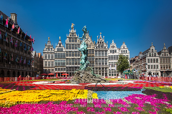 CDR_06112015_0277_belgium